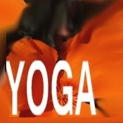 yoga&meditation