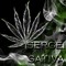Sergei Sativa