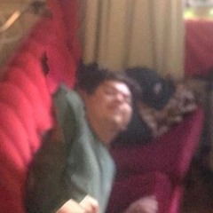 bengalonglostedbrother