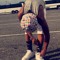 Papi_St3ph