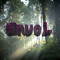 i_envol