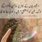Syed Rayan Rashdi
