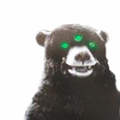 El Oso Carolina