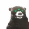 El Oso Carolina