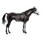 steak_de_cheval