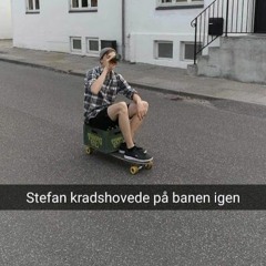 Stefan Baier Nielsen