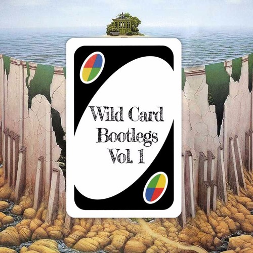 Subset Presents Wild Card’s avatar
