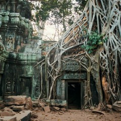 Temple Roots