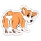 corgii