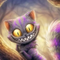 Костя Шибаев