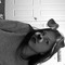 Kamillia Maree Bertram