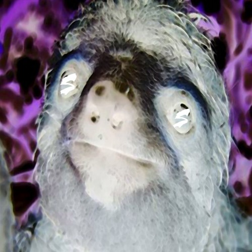 Stream SLOTH SQUAD music | Listen to songs, albums, playlists for free ...