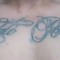 Haapz Mk Aotearoa