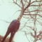 M7md Elgendy