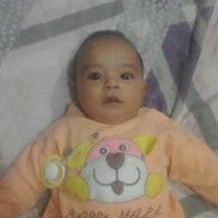 الجاسر محمود