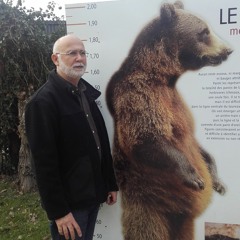 bearperigord