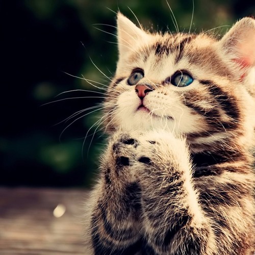 Wonderful, Merciful Saviour