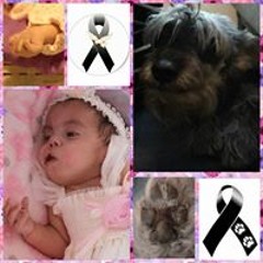 Paola Delgadillo Benítez