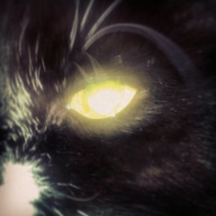 plugexpert (2014/left-overs)