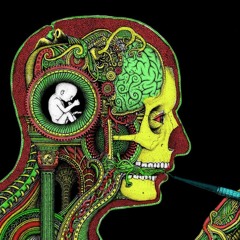 BVA - Crazy Trips
