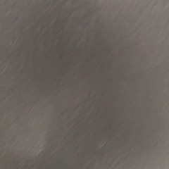 jay