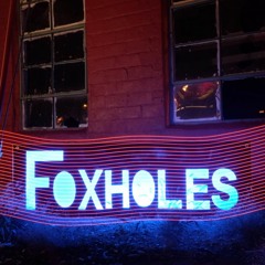 FoxholesDSM