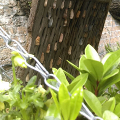 Keçe Kurdan(AynurDogan)