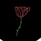 roseanddough