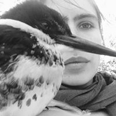 Delfina Muñoz de Toro