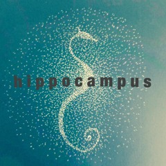 hippocampus