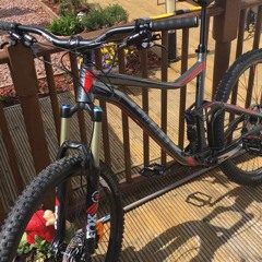 Reece Carbon Holland