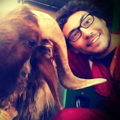 Mohamed Fareed