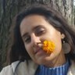 Araceli