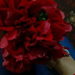 Yasmeen Athamneh