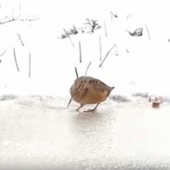 친구로 지내자면서