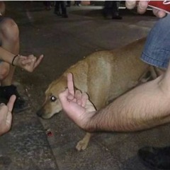 epyepy