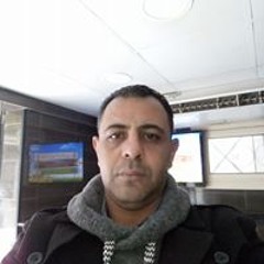 مصطفى ربيع