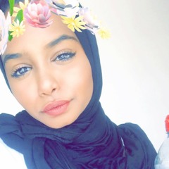 Abrar El-Hassan