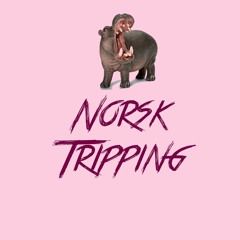 norsk tripping