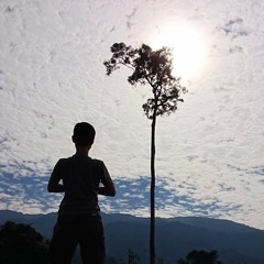似水流年