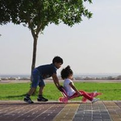 Razan A. Al-ghriafy
