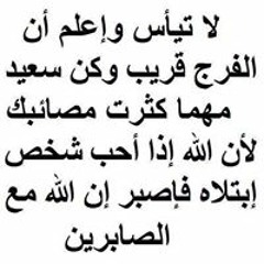 سيد