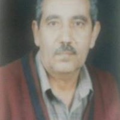 محمد حبيشى