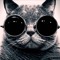 meowcat