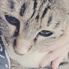 김민서