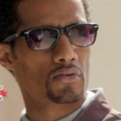 محمود عبد الباقي حسان