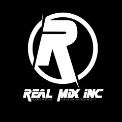 Real Mix INC