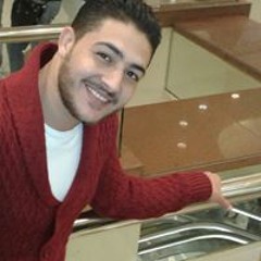 حسام وحيد الهواري
