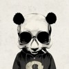 Panduh237