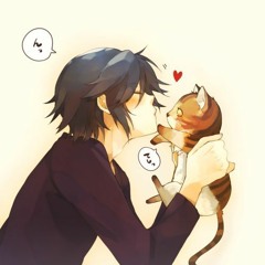 ShrineCat {*≧∀≦}